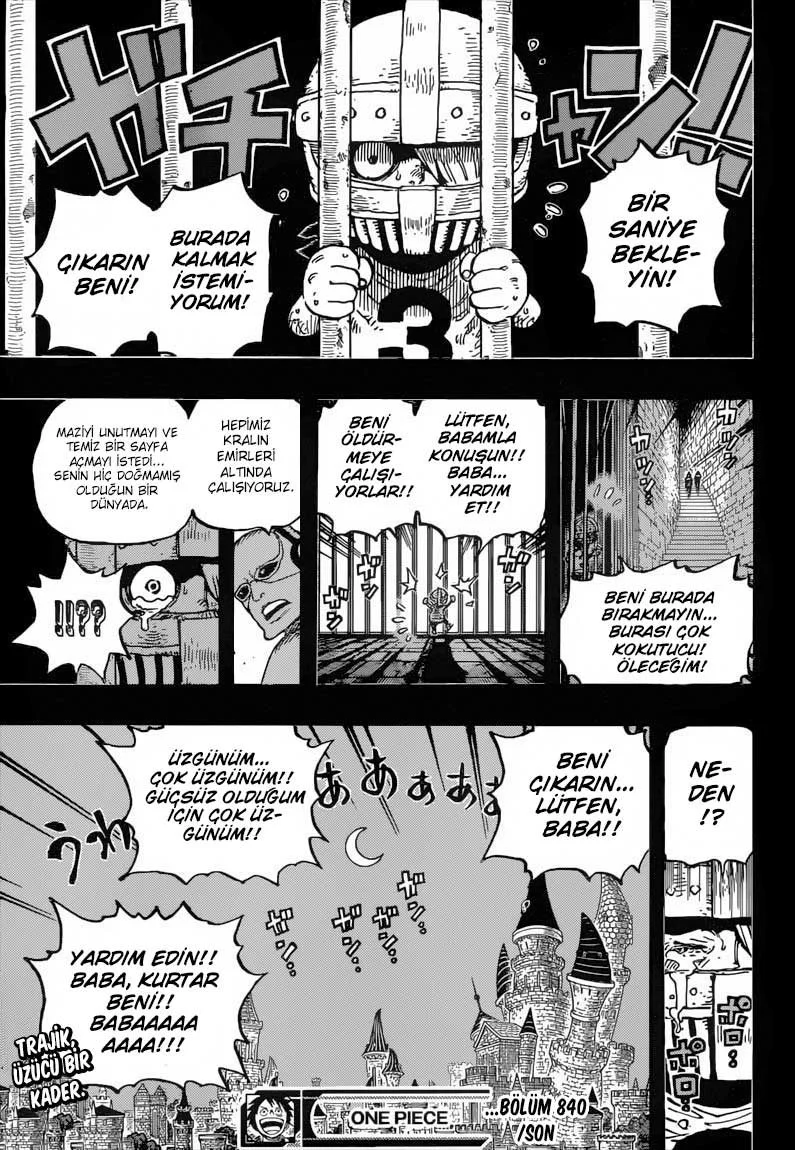 One Piece - Bölüm 840 - Sayfa 17