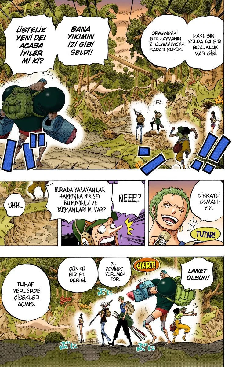 One Piece - Bölüm 804 - Sayfa 12