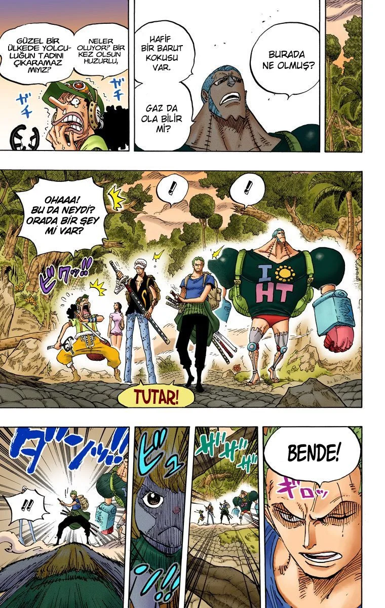One Piece - Bölüm 804 - Sayfa 14