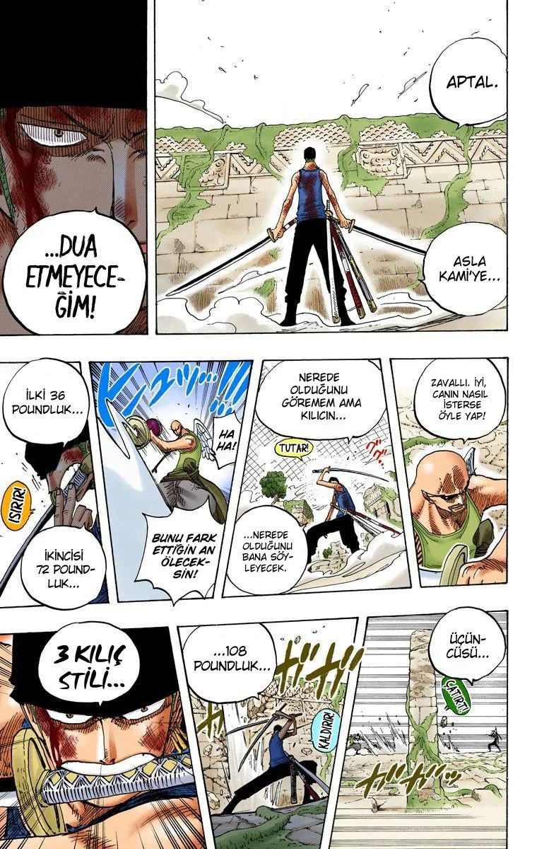 One Piece - Bölüm 271 - Sayfa 17