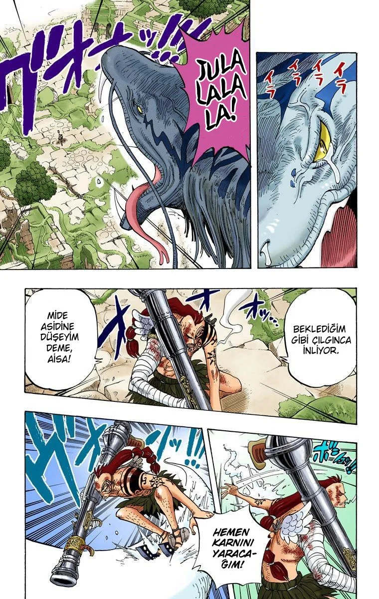 One Piece - Bölüm 271 - Sayfa 5