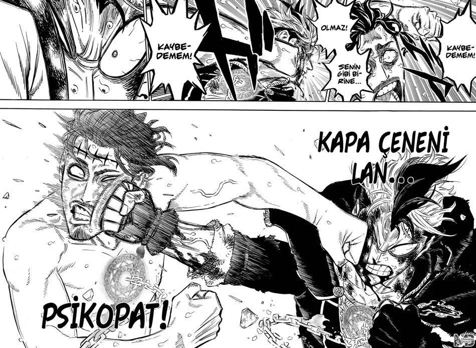 Black Clover - Bölüm 293 - Sayfa 15