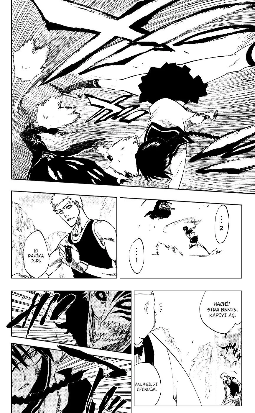 Bleach - Bölüm 219 - Sayfa 12