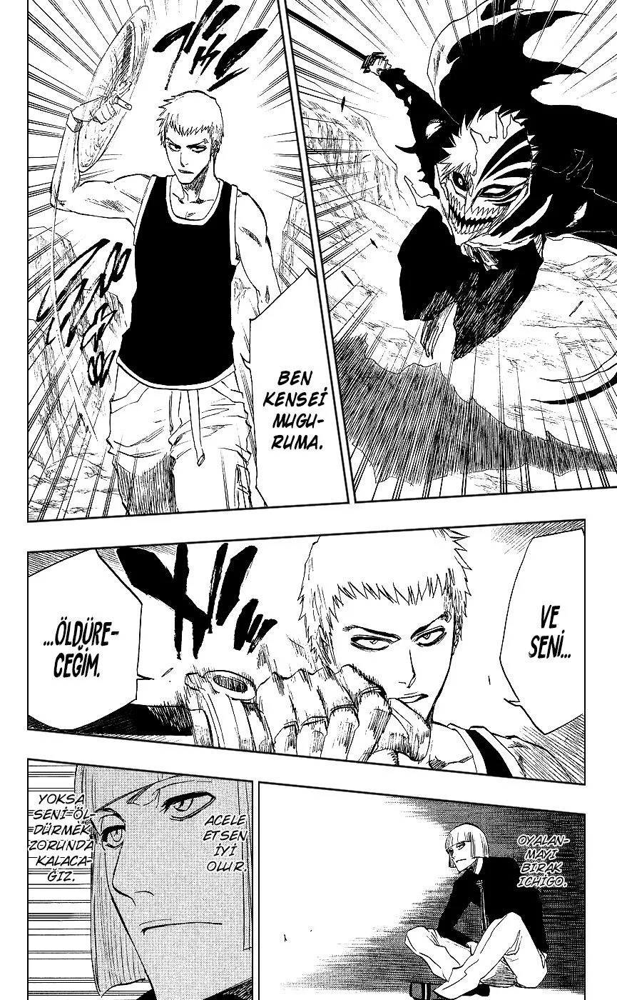 Bleach - Bölüm 219 - Sayfa 13