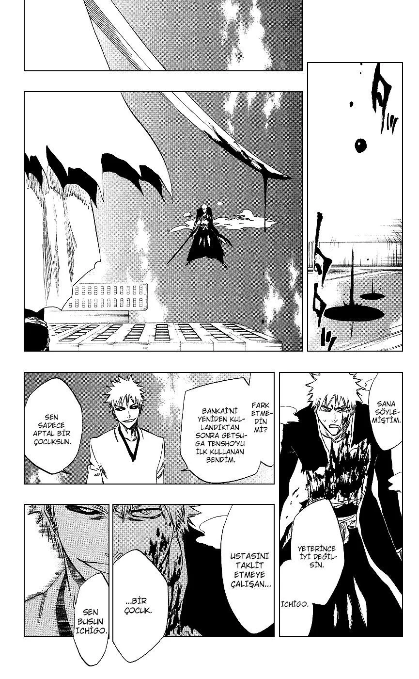 Bleach - Bölüm 219 - Sayfa 14