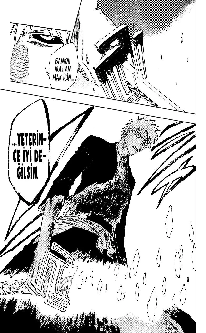 Bleach - Bölüm 219 - Sayfa 16