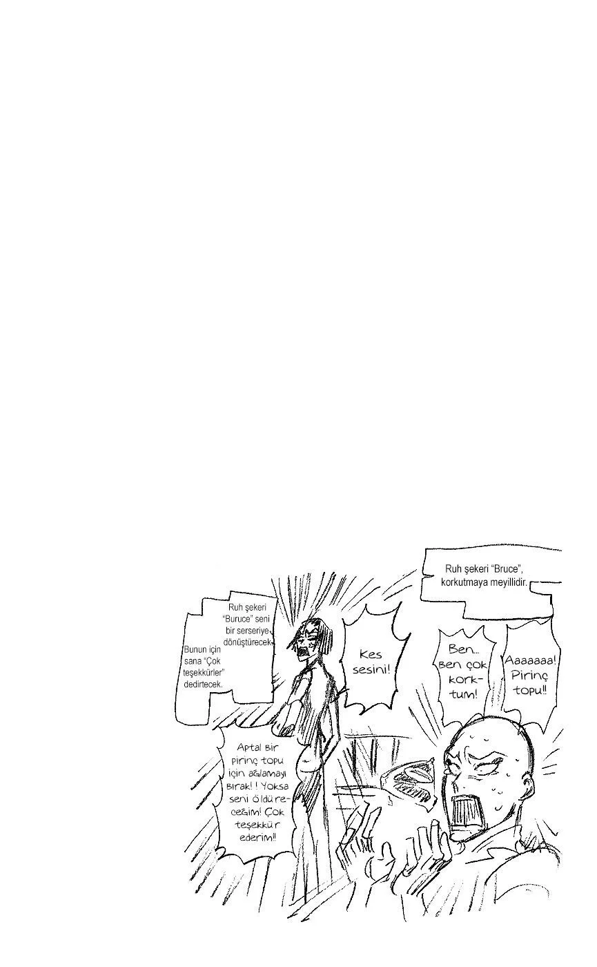 Bleach - Bölüm 219 - Sayfa 17