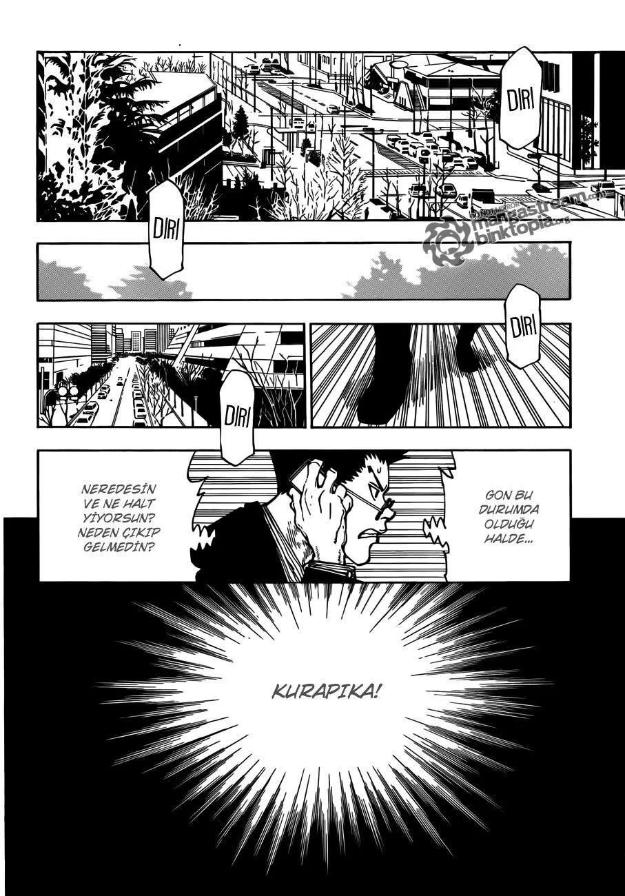 Hunter x Hunter - Bölüm 325 - Sayfa 11