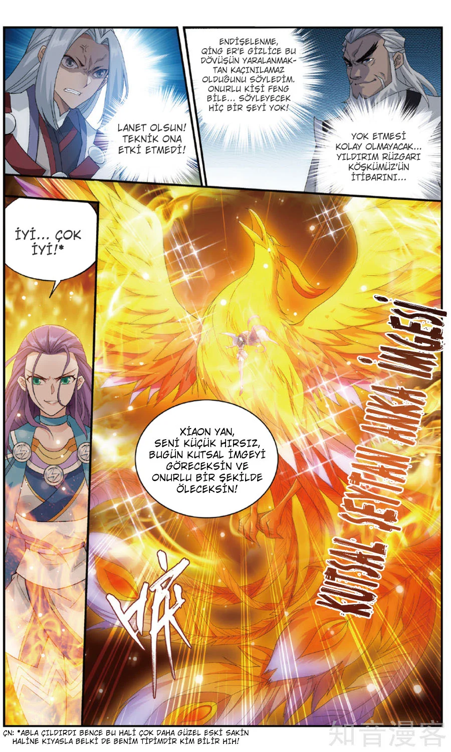 Battle Through the Heavens - Bölüm 240 - Sayfa 12