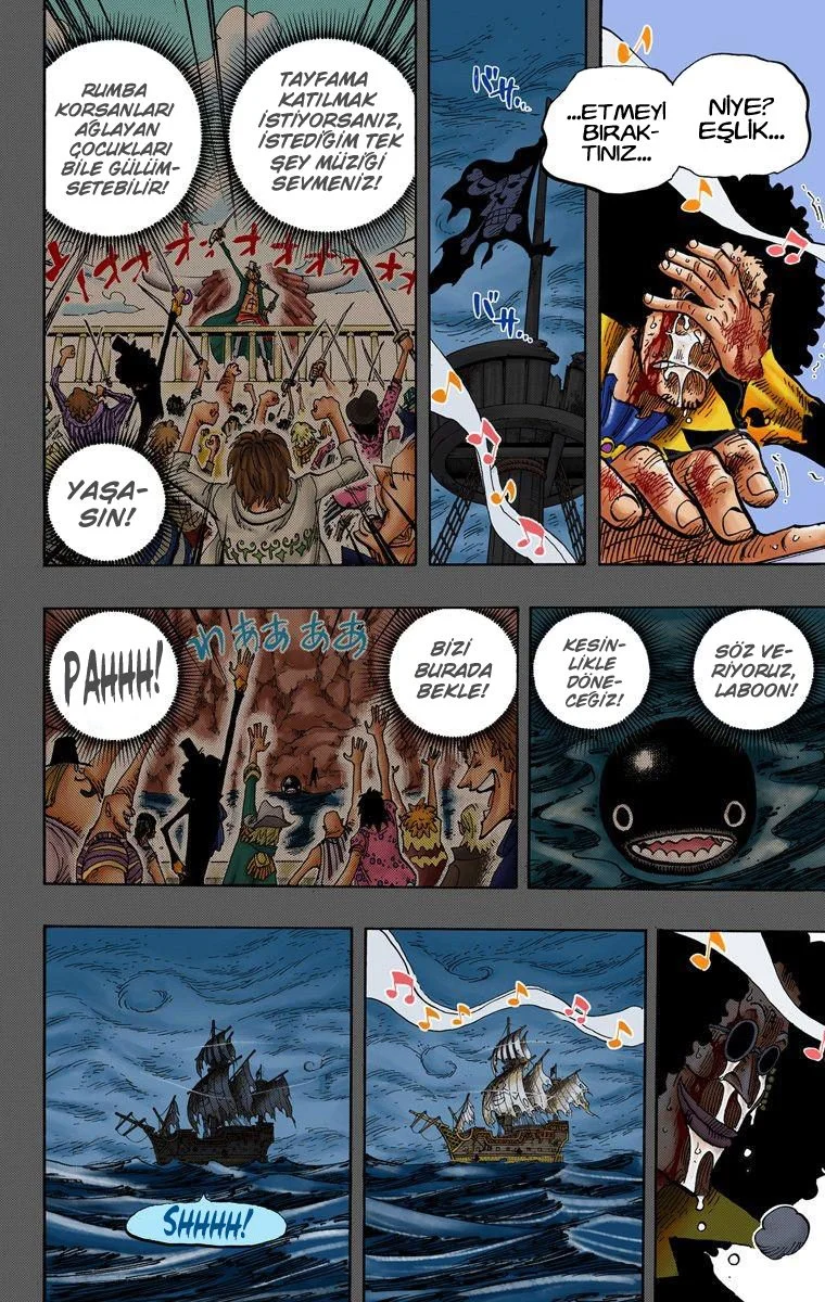 One Piece - Bölüm 488 - Sayfa 17