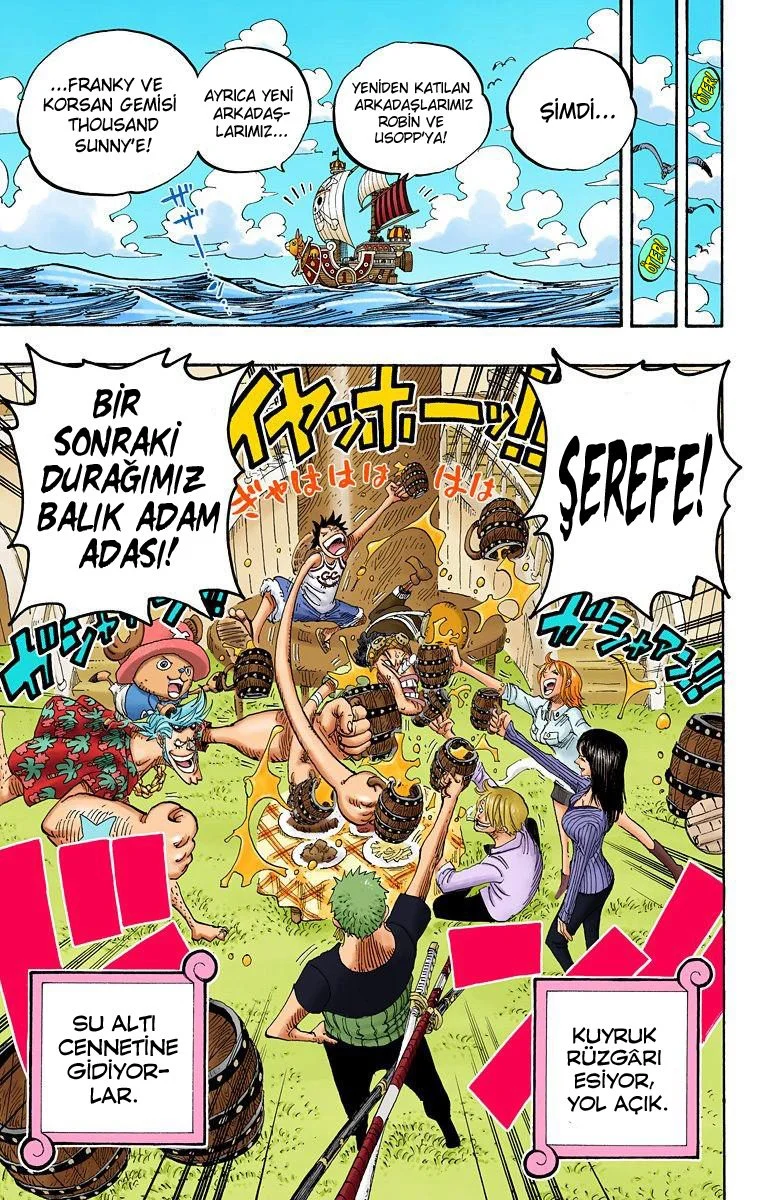 One Piece - Bölüm 439 - Sayfa 17