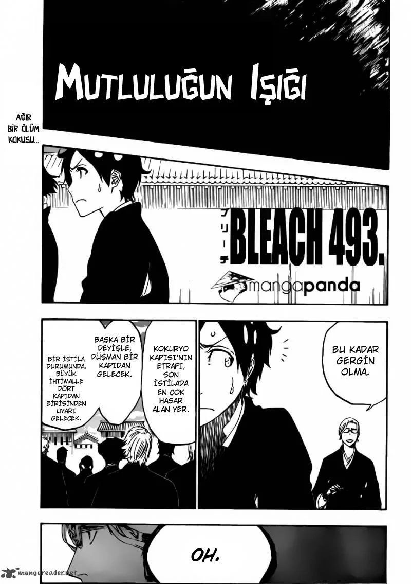 Bleach - Bölüm 493 - Sayfa 14