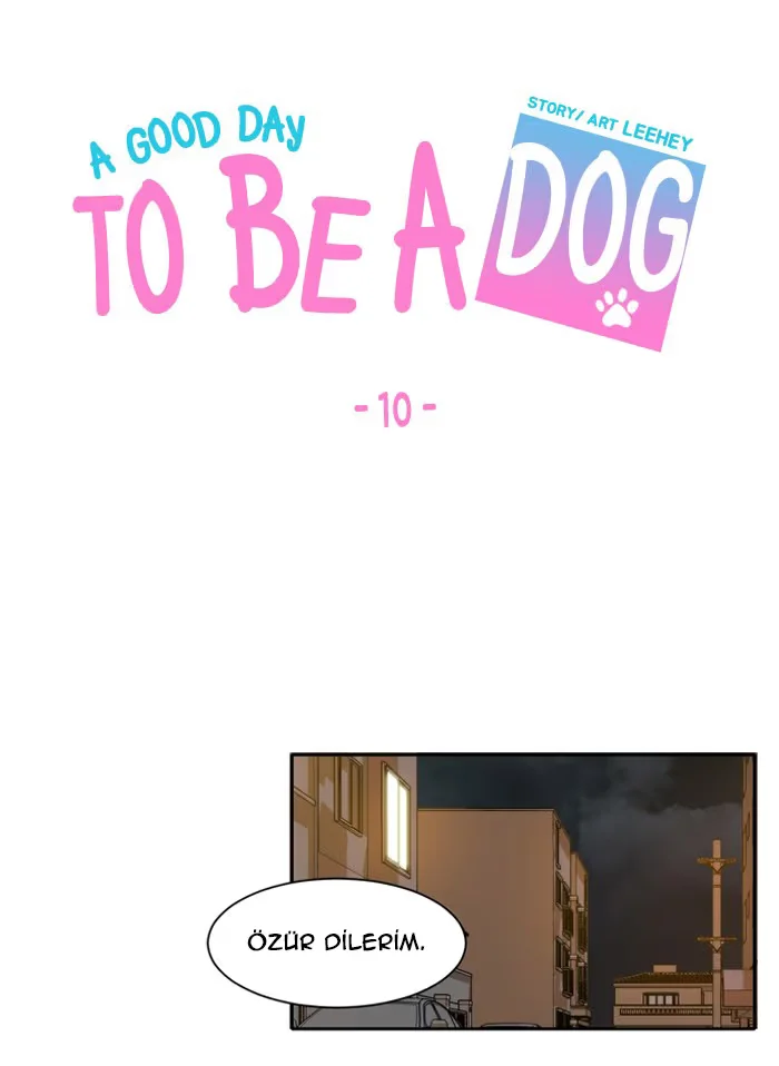 A Good Day to Be a Dog - Bölüm 10 - Sayfa 12
