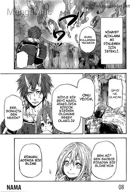 That Time I Got Reincarnated as a Slime - Bölüm 14 - Sayfa 8