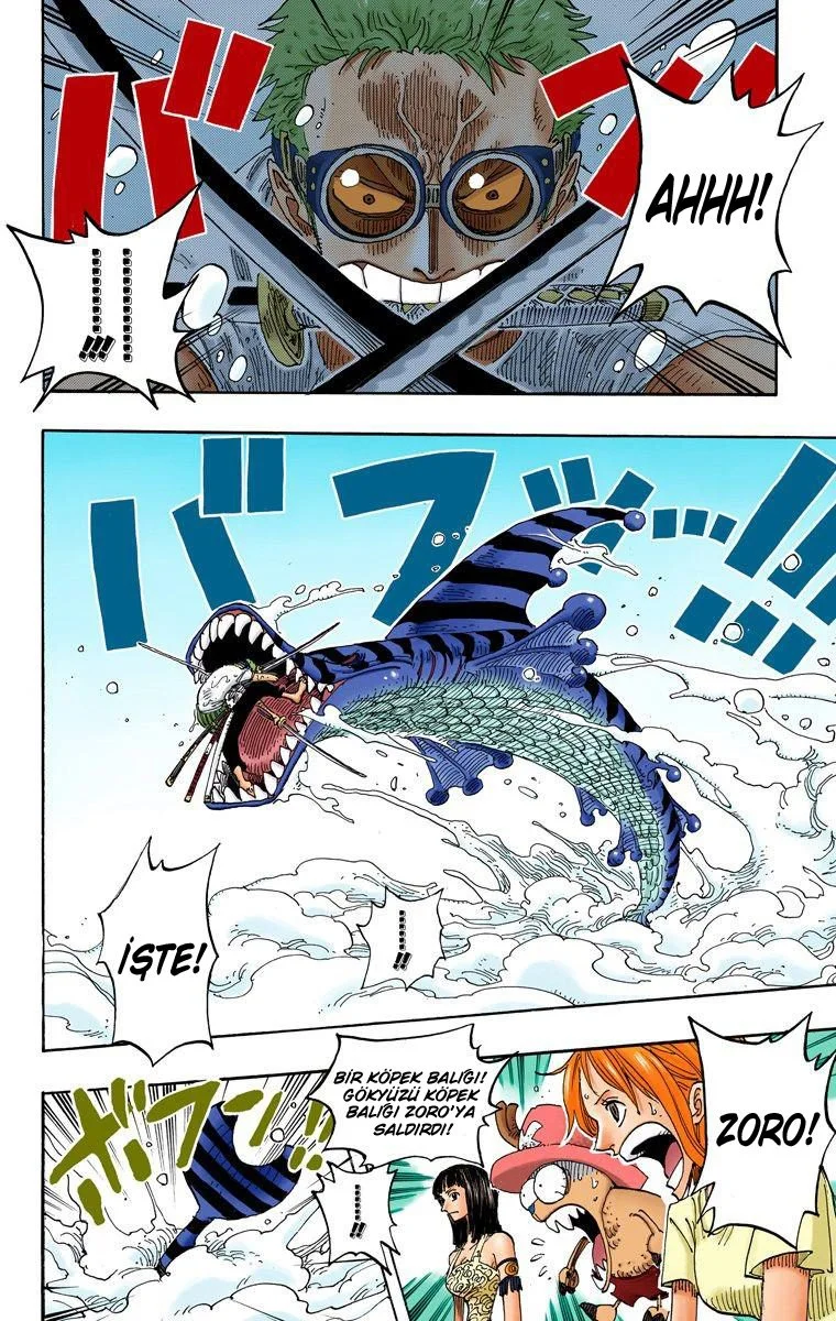 One Piece - Bölüm 245 - Sayfa 10