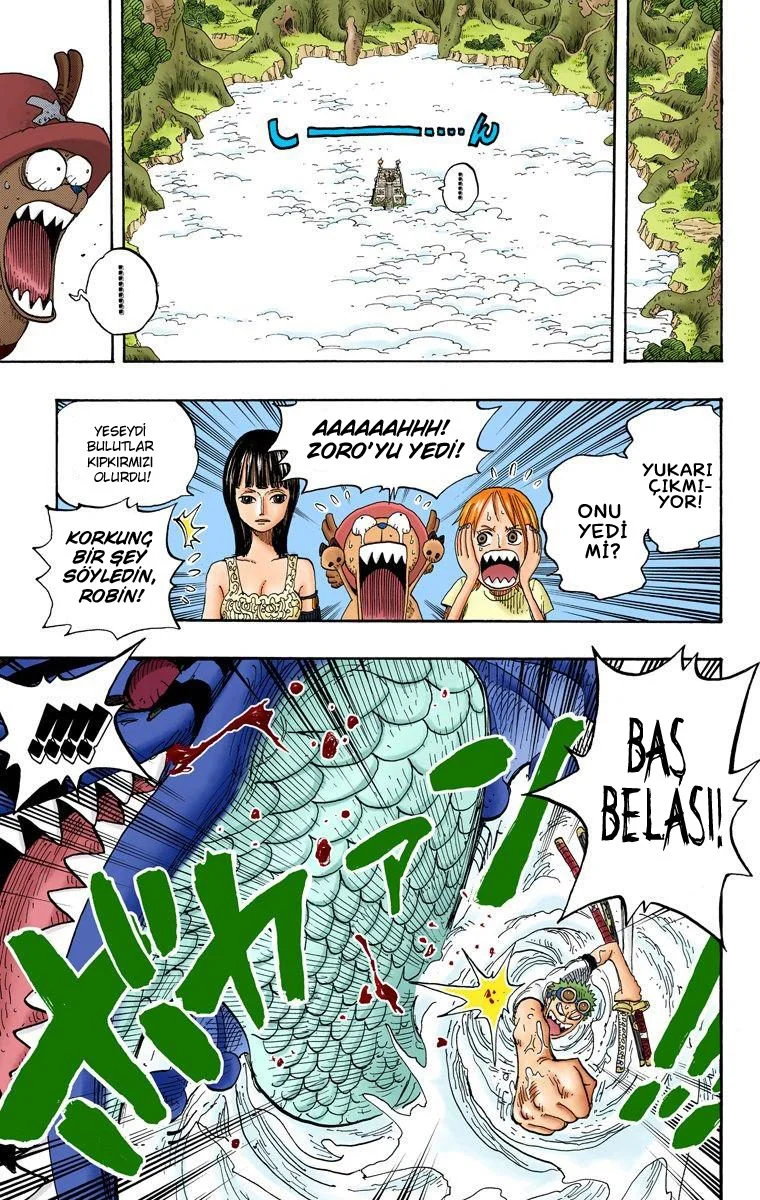 One Piece - Bölüm 245 - Sayfa 11