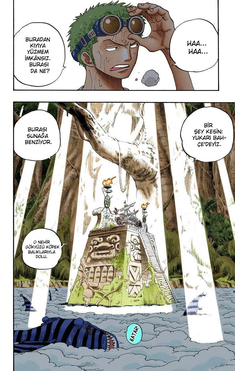 One Piece - Bölüm 245 - Sayfa 12