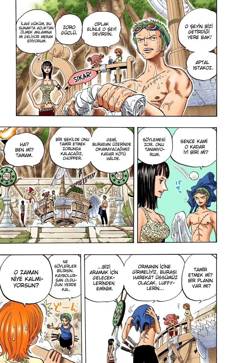 One Piece - Bölüm 245 - Sayfa 13
