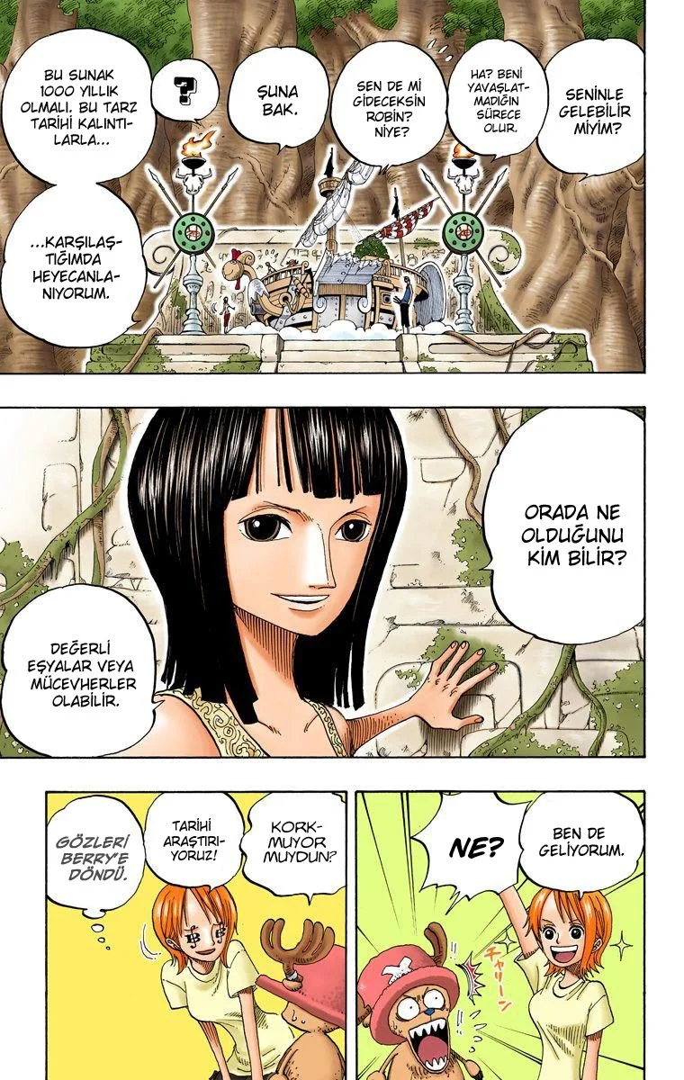 One Piece - Bölüm 245 - Sayfa 15