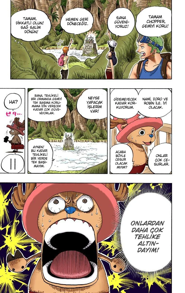 One Piece - Bölüm 245 - Sayfa 17