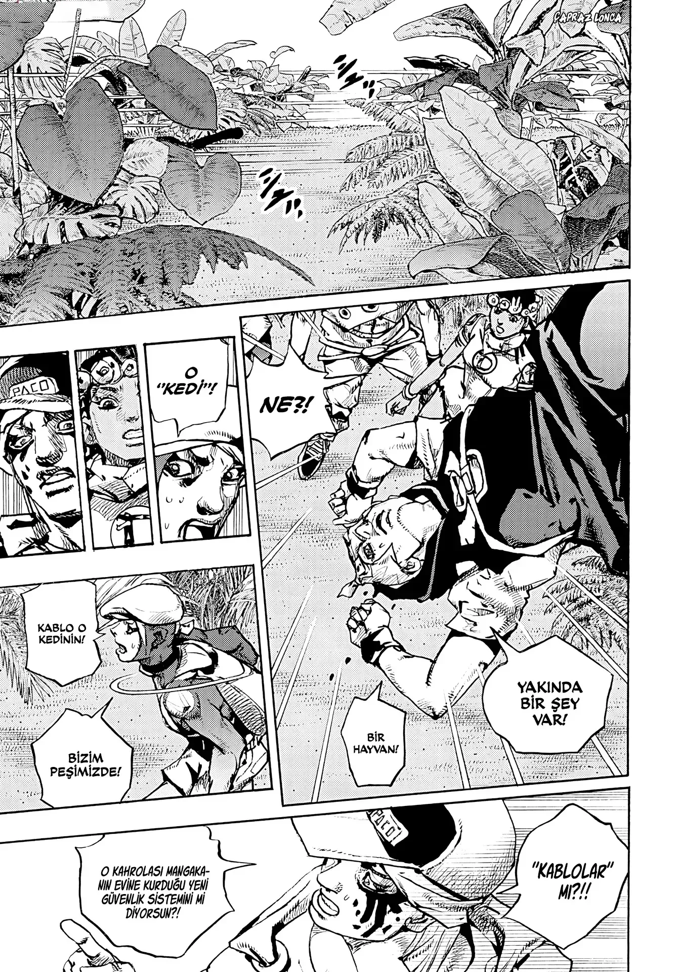 JoJo's Bizarre Adventure Part 9: The JOJOLands - Bölüm 6 - Sayfa 15