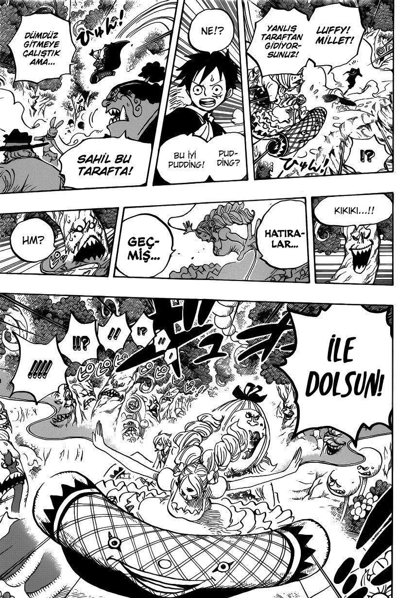 One Piece - Bölüm 876 - Sayfa 12