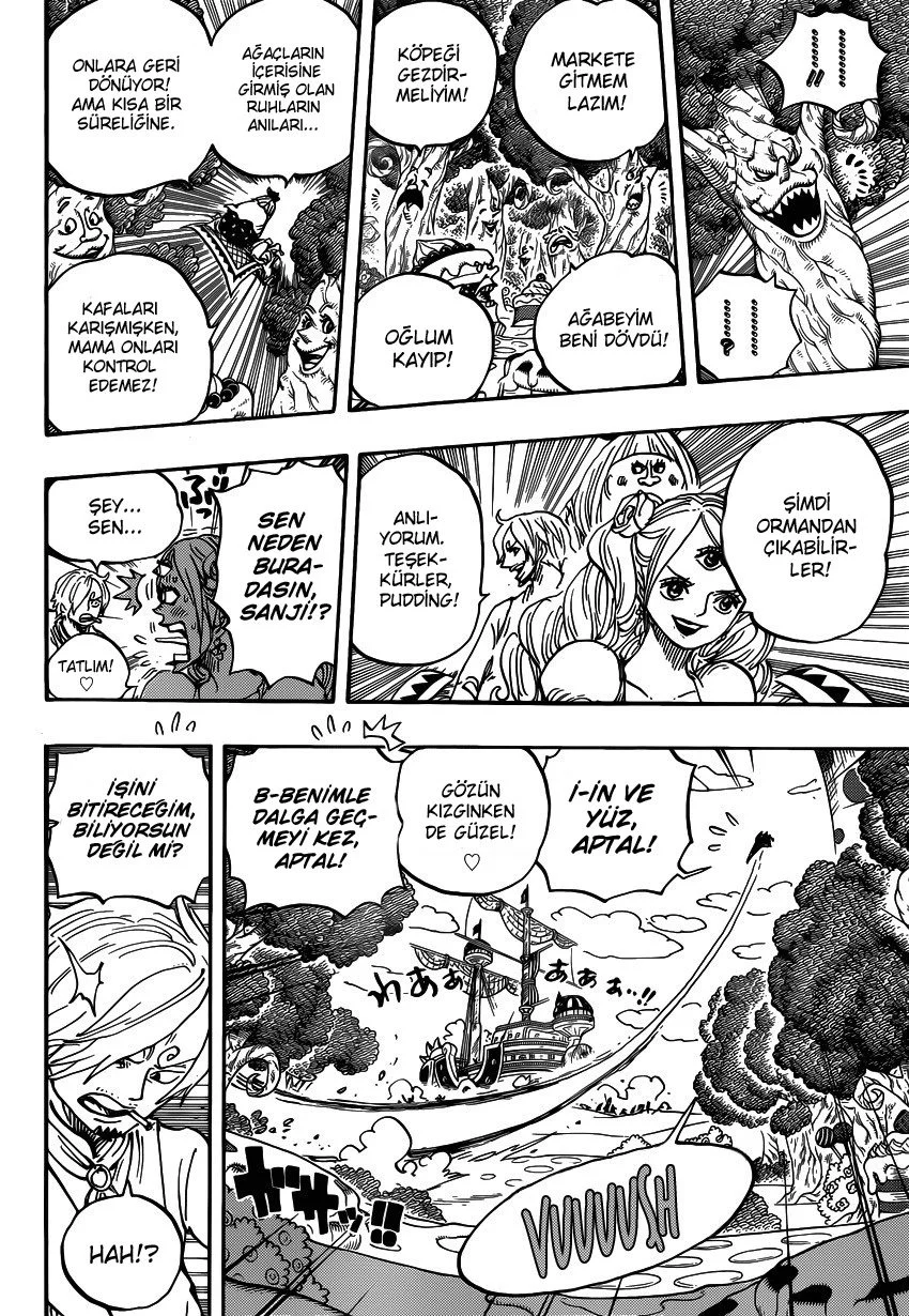One Piece - Bölüm 876 - Sayfa 13