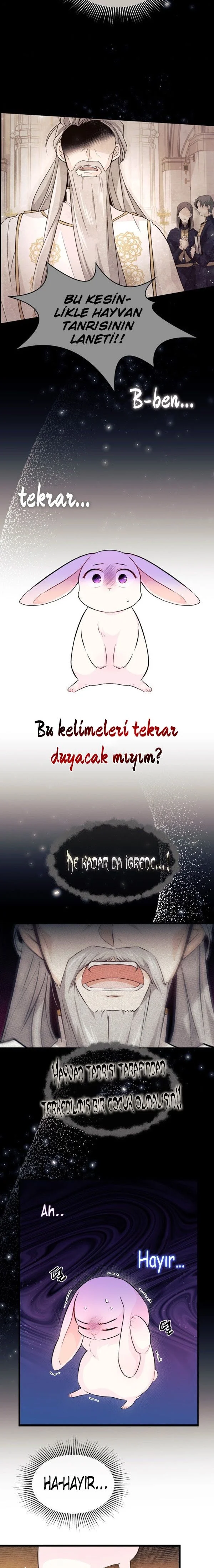 The Symbiotic Relationship Between the Rabbit and the Black Panther - Bölüm 7 - Sayfa 9