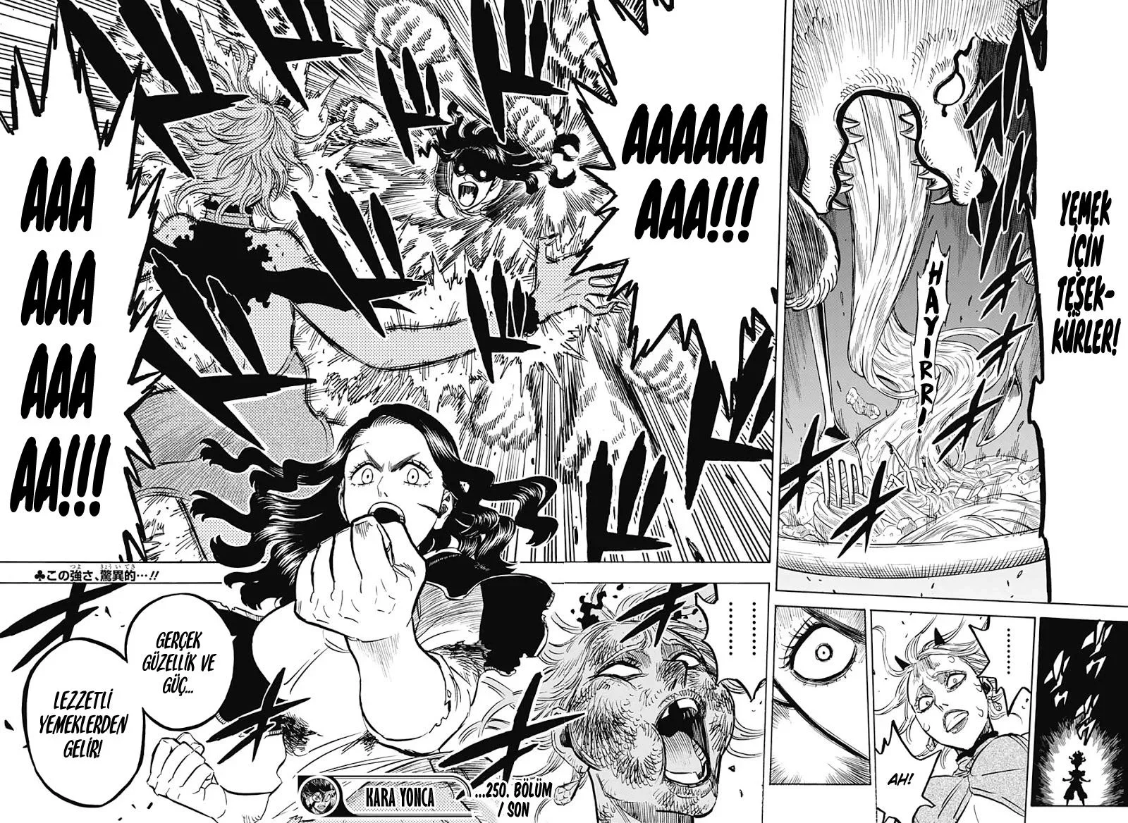 Black Clover - Bölüm 250 - Sayfa 14