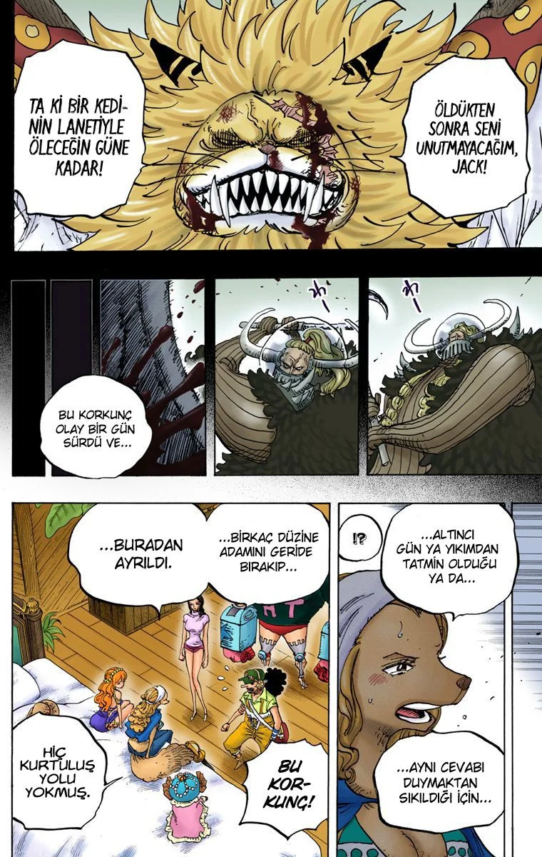 One Piece - Bölüm 810 - Sayfa 10