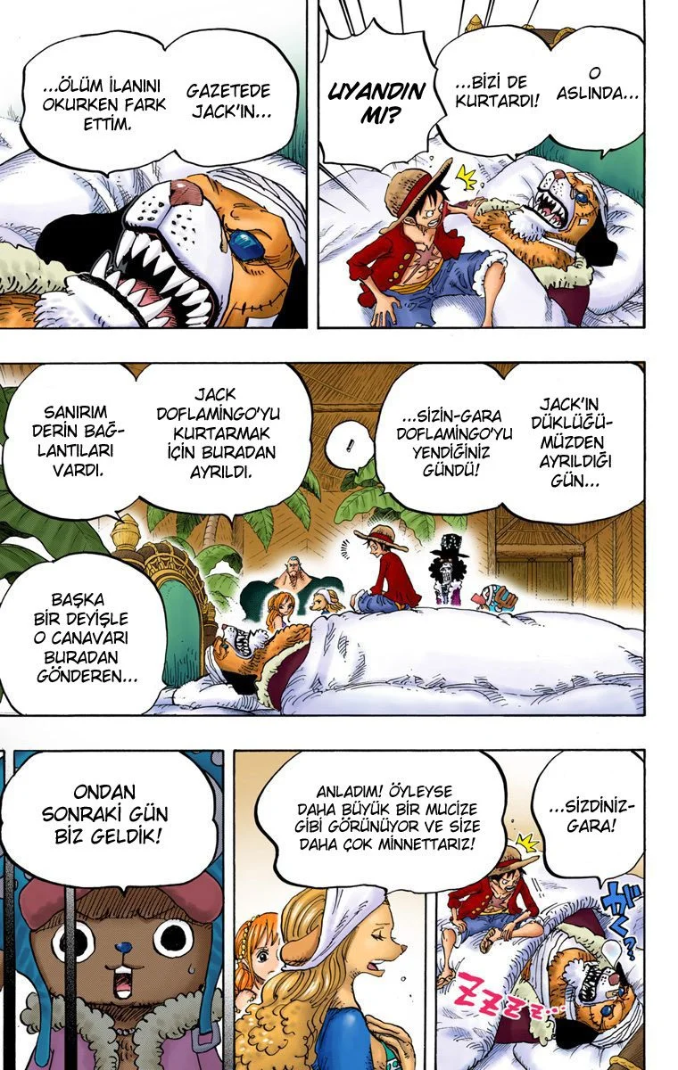One Piece - Bölüm 810 - Sayfa 11