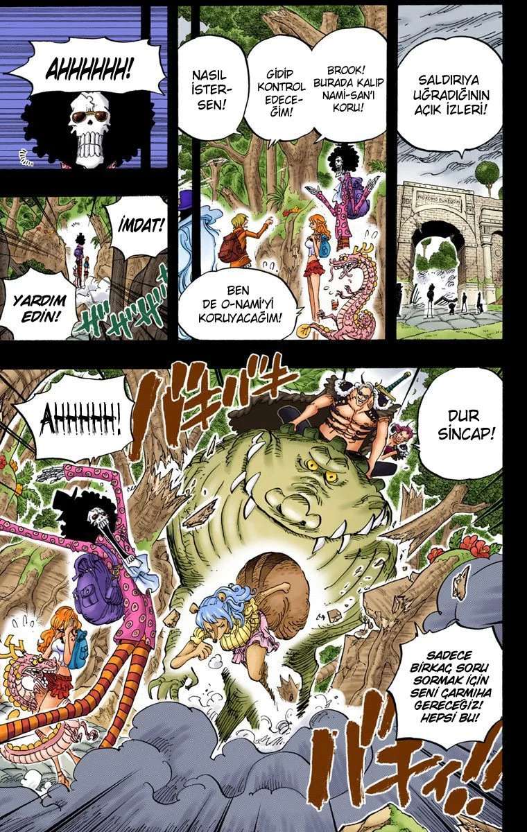 One Piece - Bölüm 810 - Sayfa 13