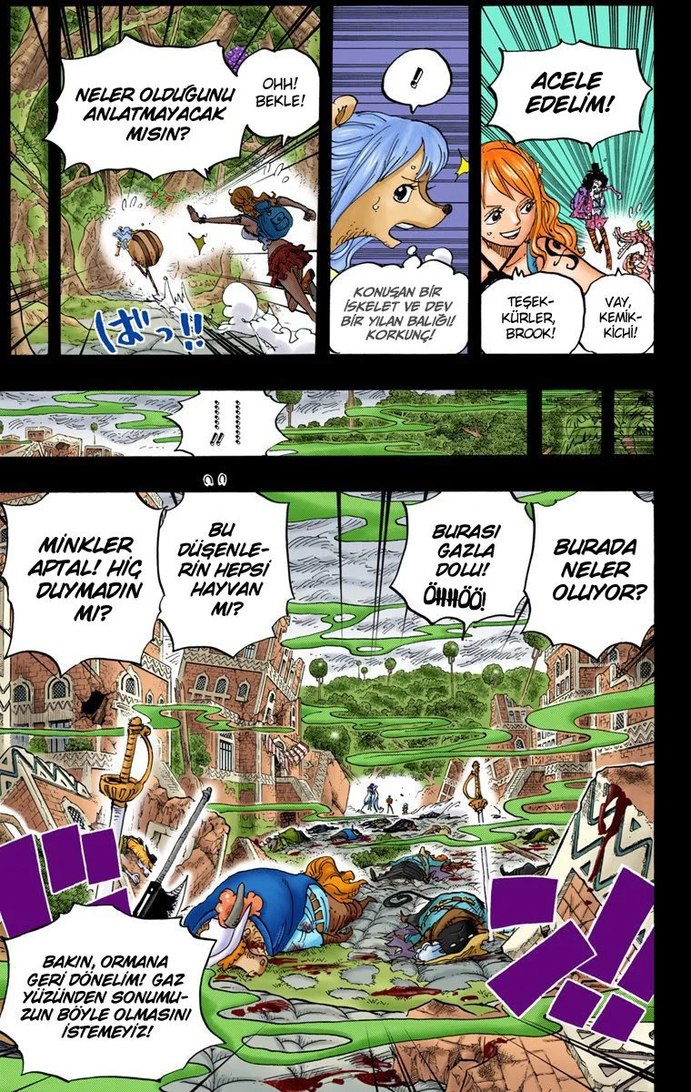 One Piece - Bölüm 810 - Sayfa 15