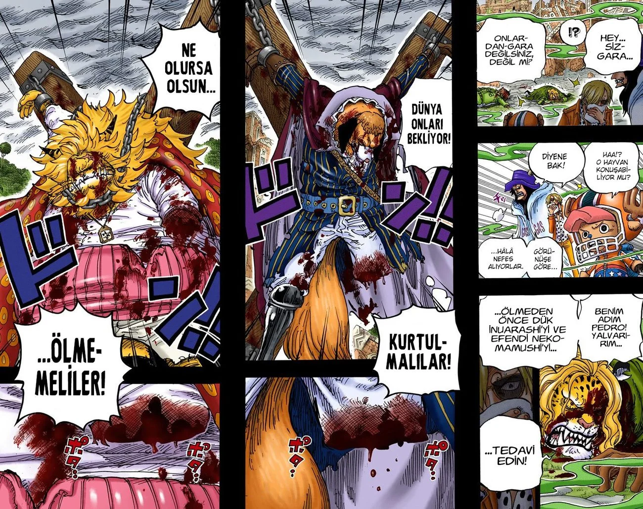 One Piece - Bölüm 810 - Sayfa 16