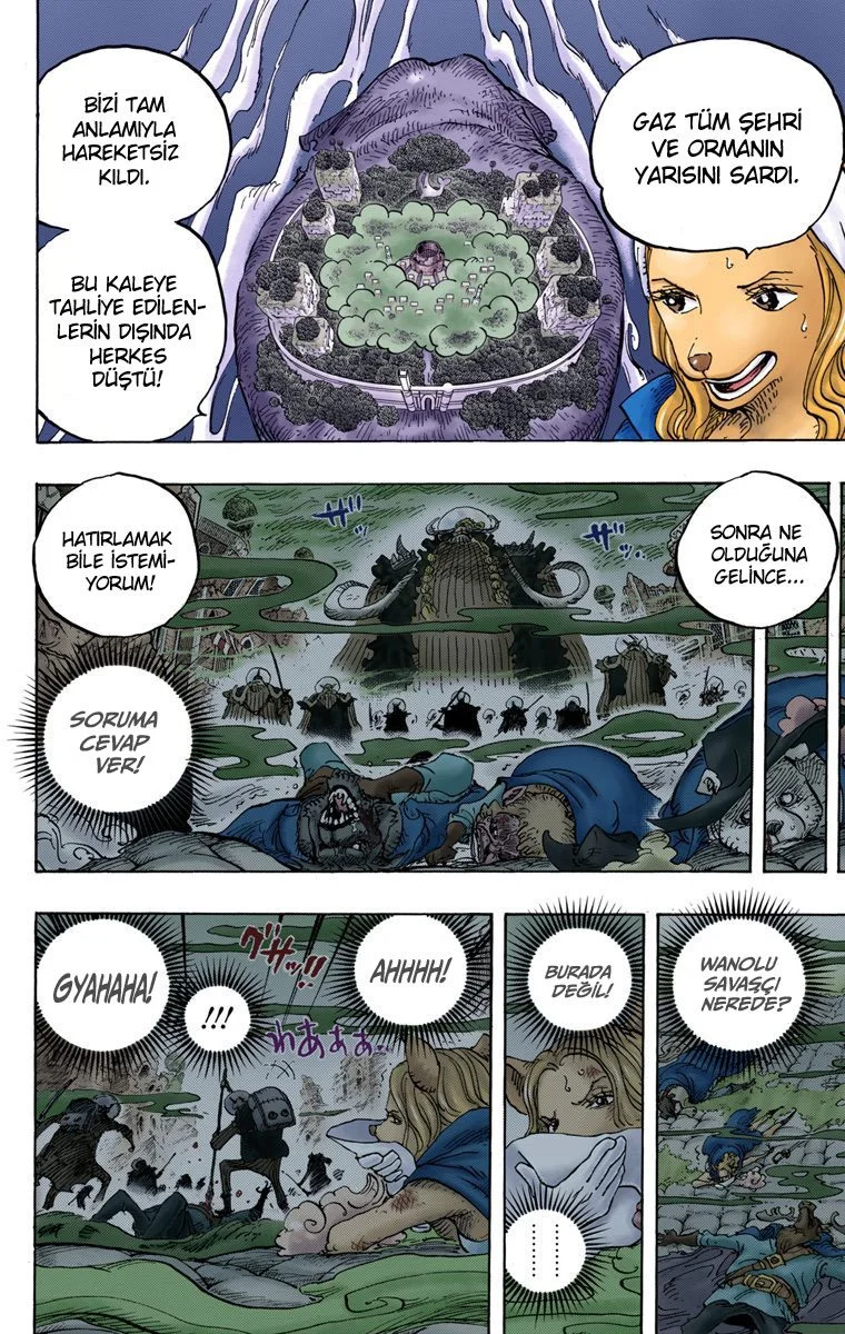 One Piece - Bölüm 810 - Sayfa 8