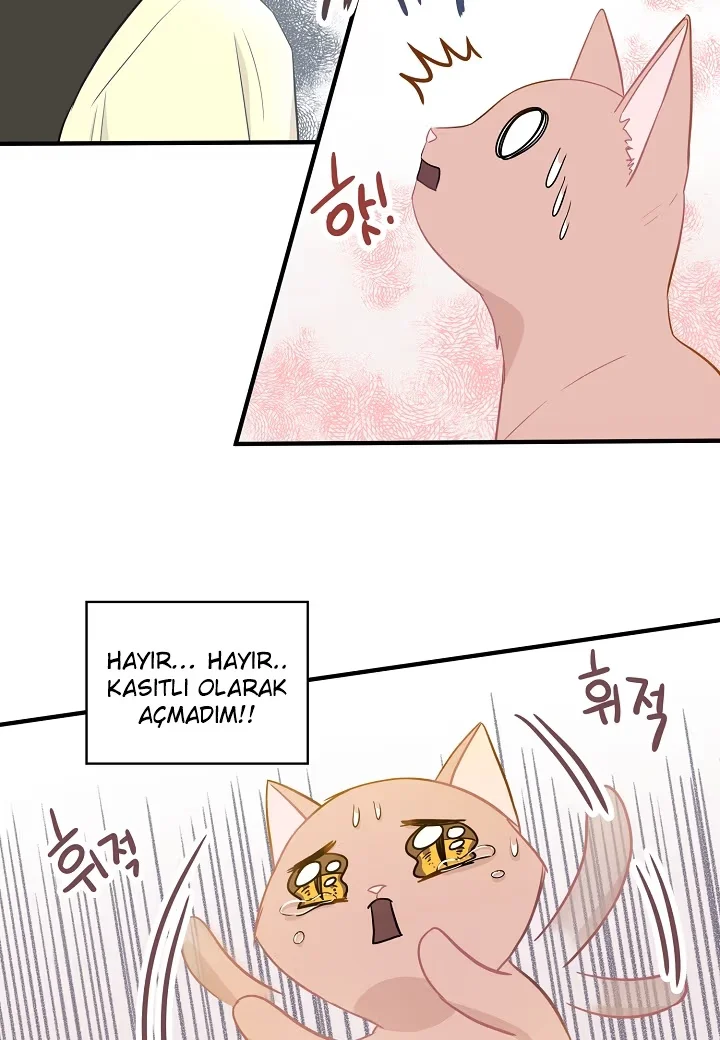 A Strange Life - Bölüm 5 - Sayfa 33