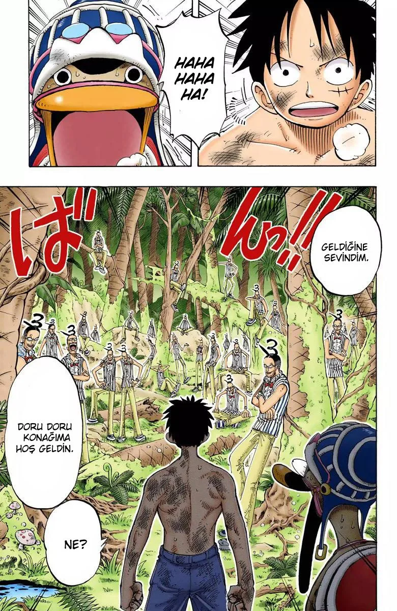 One Piece - Bölüm 126 - Sayfa 13