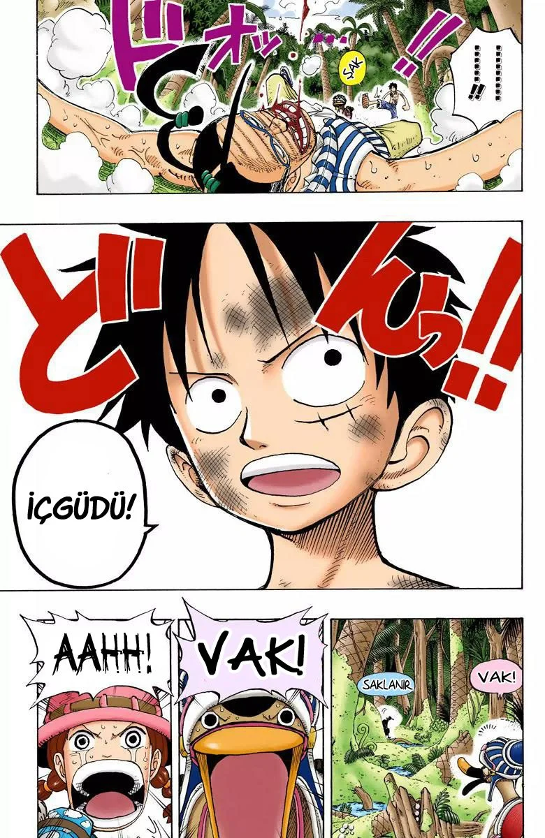 One Piece - Bölüm 126 - Sayfa 17