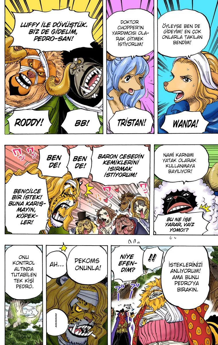 One Piece - Bölüm 822 - Sayfa 10