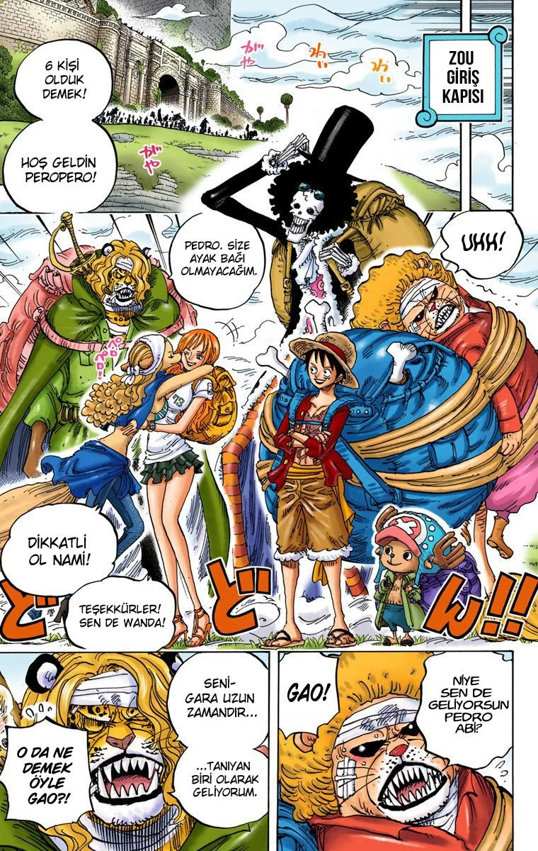 One Piece - Bölüm 822 - Sayfa 13