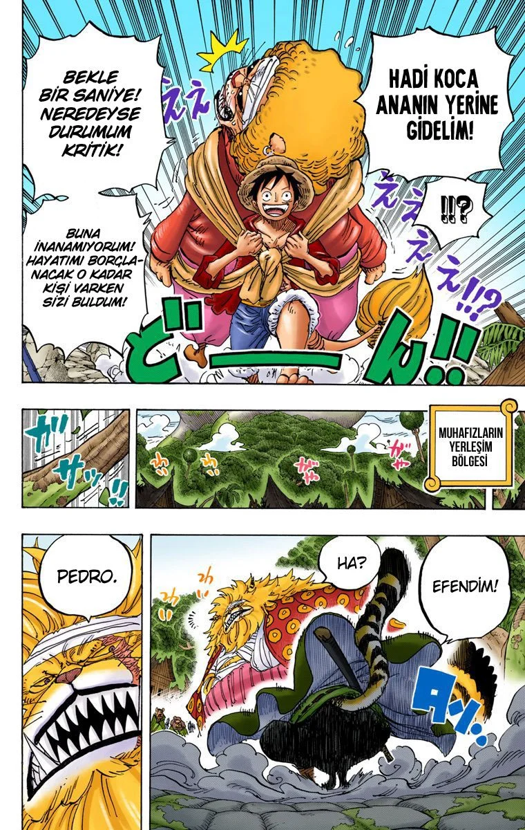 One Piece - Bölüm 822 - Sayfa 8