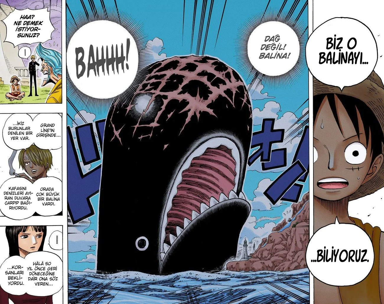 One Piece - Bölüm 459 - Sayfa 12