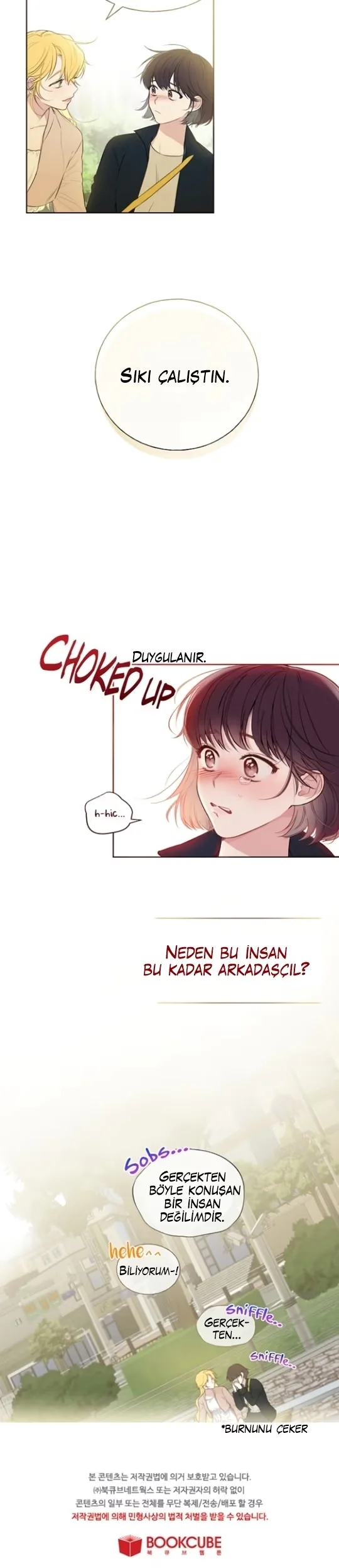 Mystic Messenger - Bölüm 1 - Sayfa 19