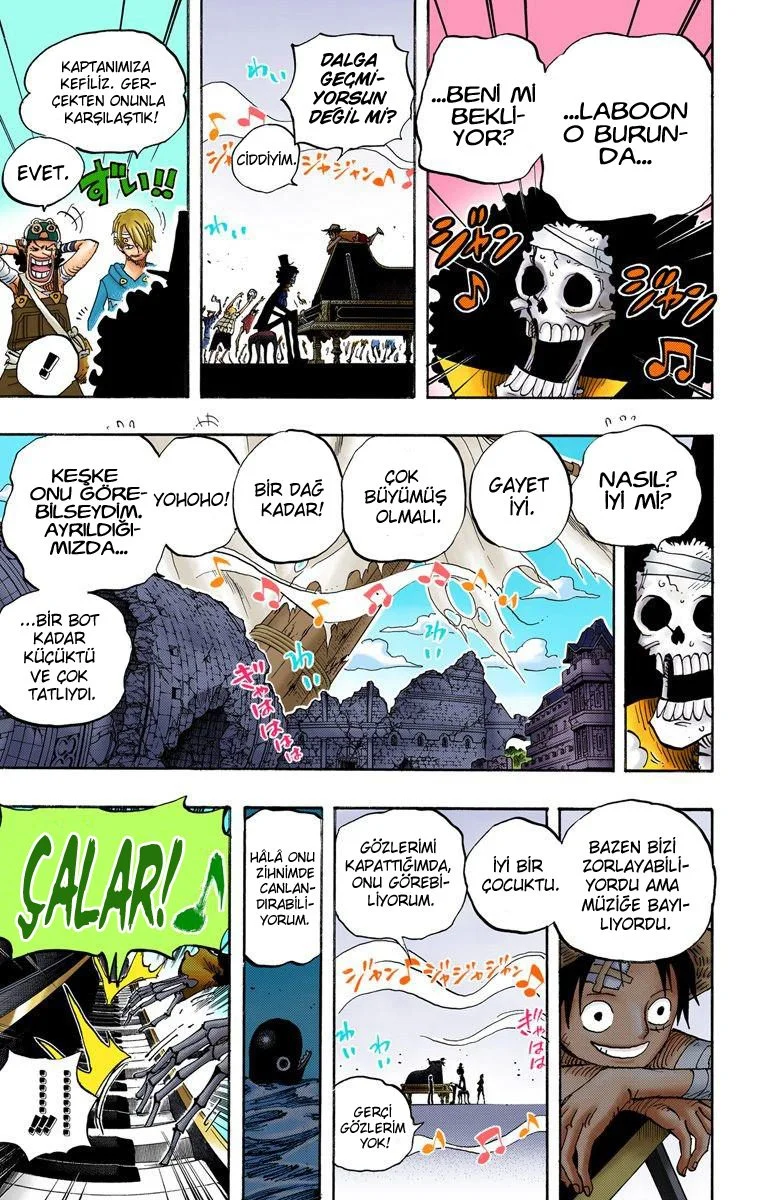 One Piece - Bölüm 486 - Sayfa 17
