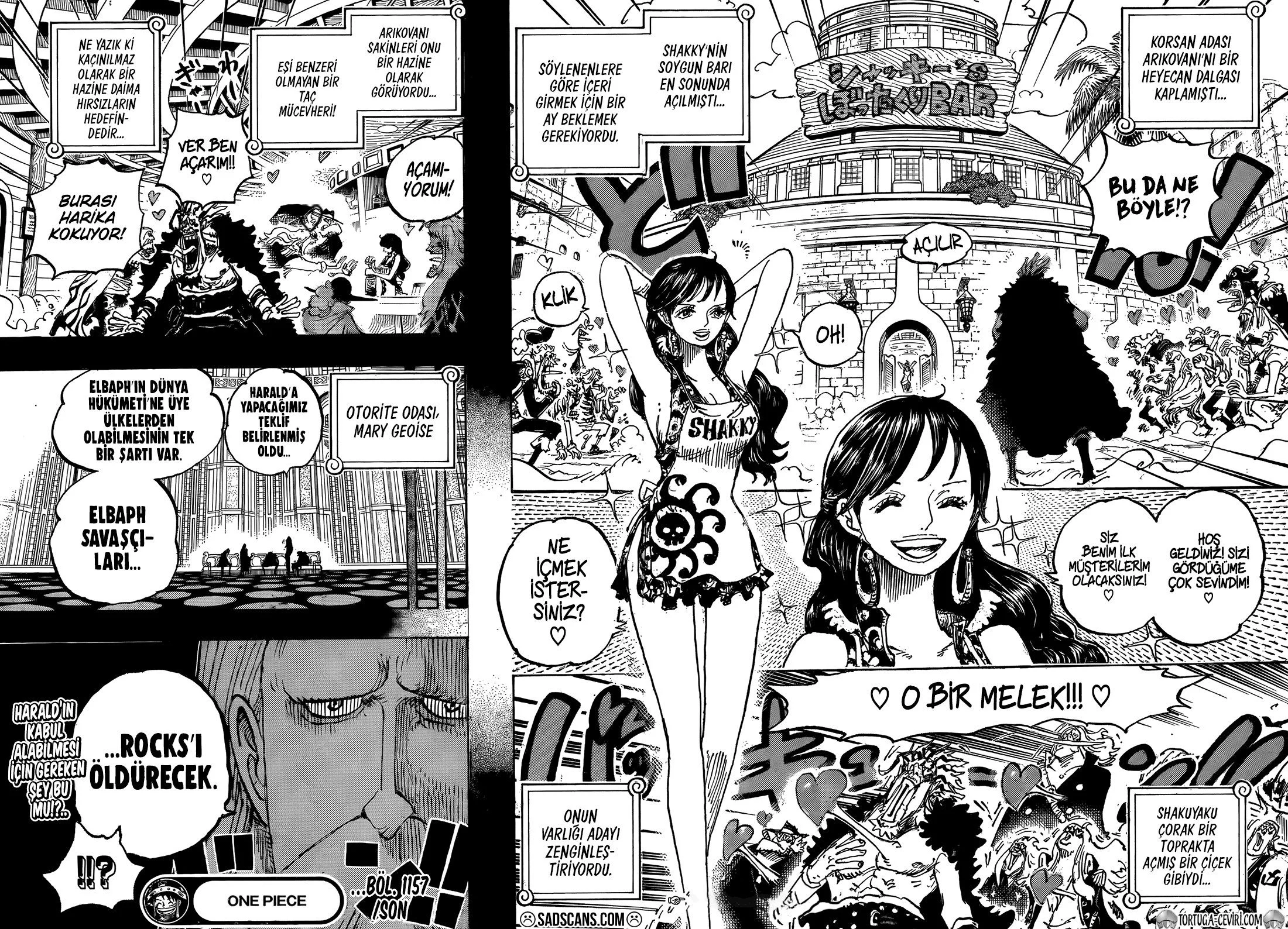 One Piece - Bölüm 1157 - Sayfa 15