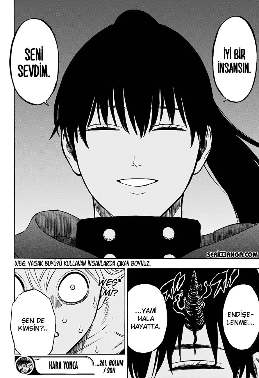 Black Clover - Bölüm 261 - Sayfa 16