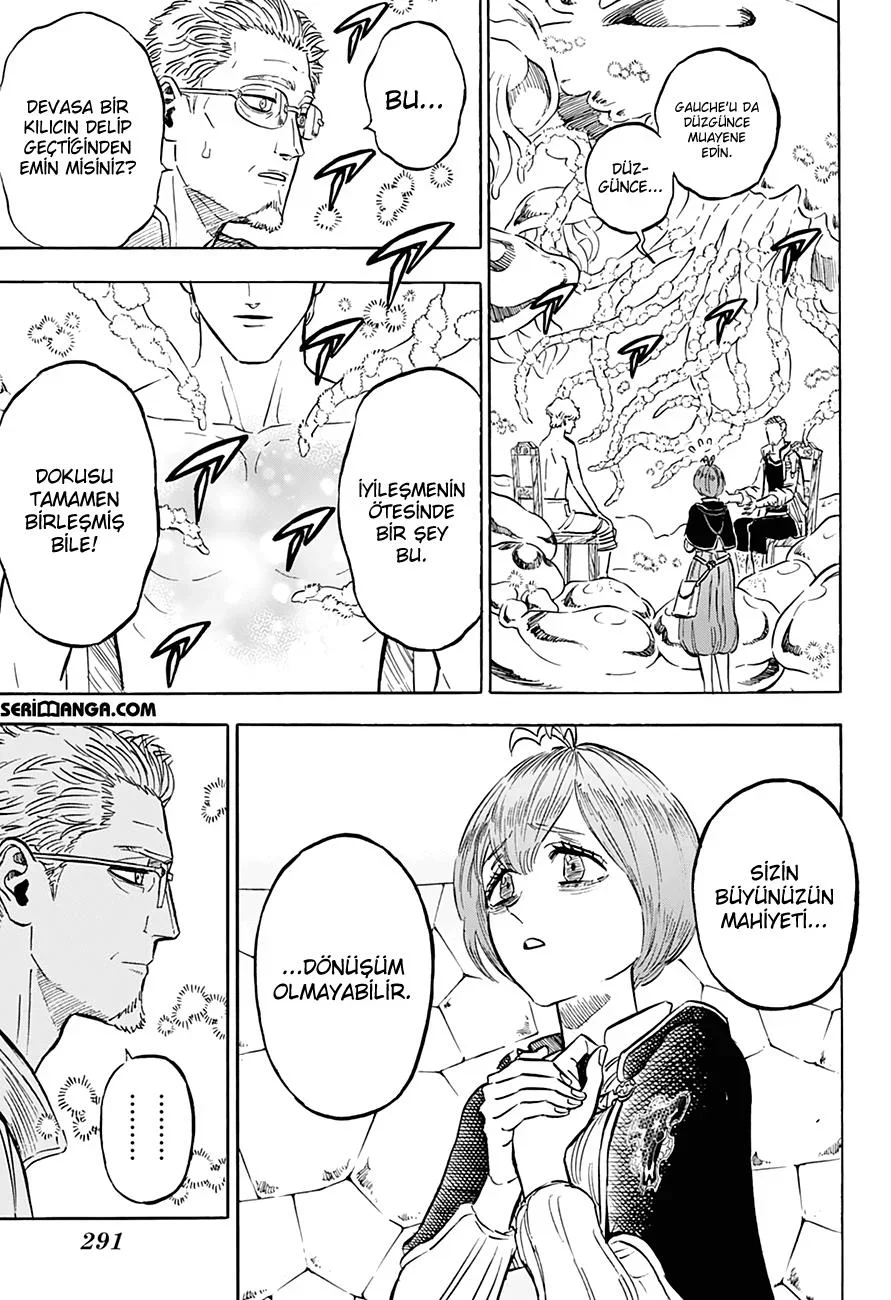 Black Clover - Bölüm 261 - Sayfa 5