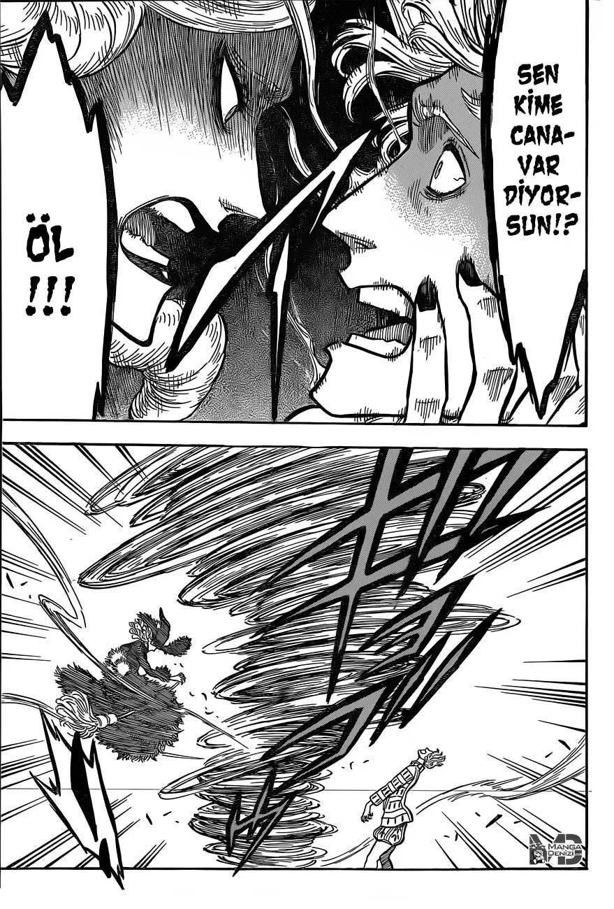 Black Clover - Bölüm 28 - Sayfa 15