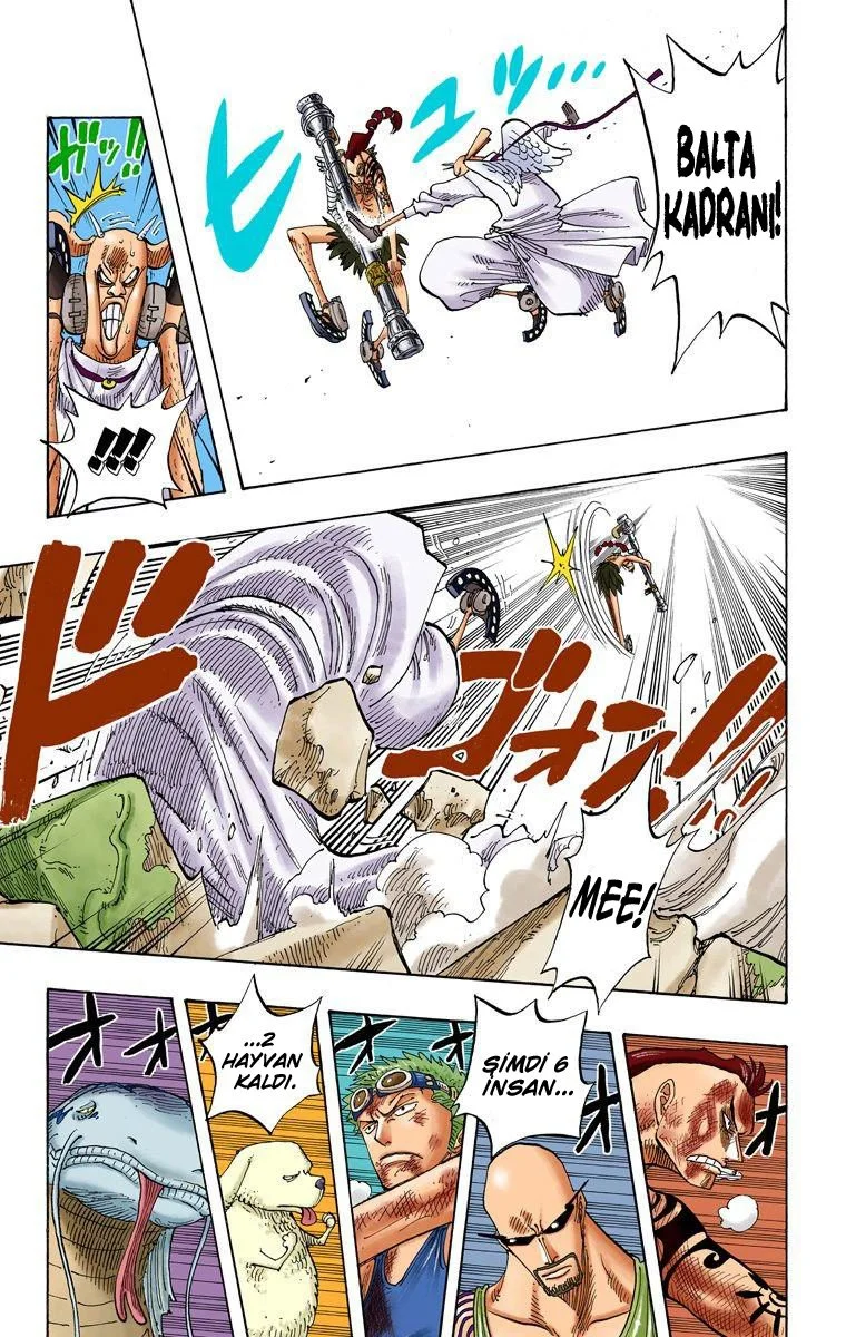 One Piece - Bölüm 270 - Sayfa 17