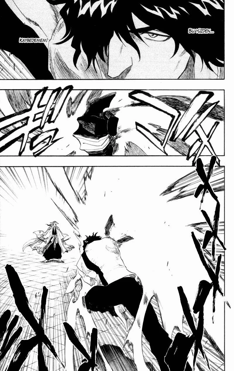 Bleach - Bölüm 107 - Sayfa 17